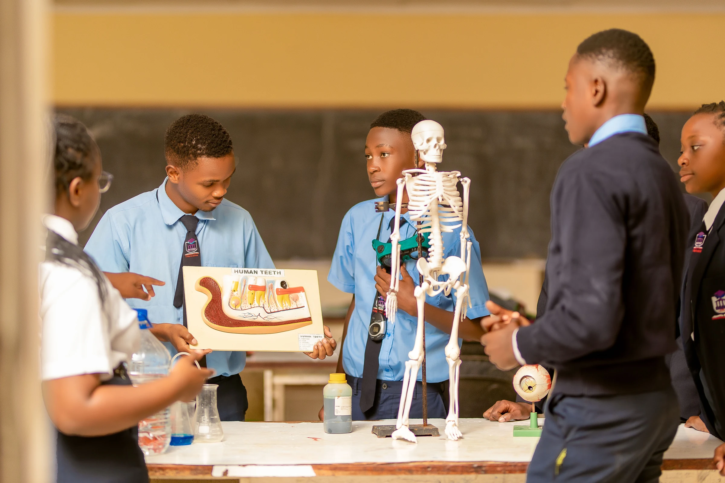 BBA school life